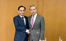 越南—中国促进双边合作