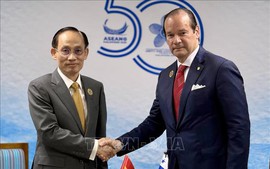 AMM－59: 越南推动与巴拿马、卢森堡、荷兰及卡塔尔的合作