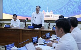 越南政府常务副总理范家肃与胡志明市就促进增长和公共投资资金实际到位情况举行工作会议