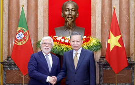 越共中央总书记、国家主席苏林会见赴越履新的各国大使