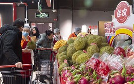 中国媒体：东盟鲜果丰富中国果盘