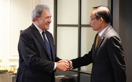 越南—新西兰第四次外交部长会议在新西兰举行