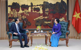 越共中央书记处书记、政府副总理范氏清茶会见中国驻越南大使何炜