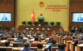 越南第16届国会第一次临时会议开幕