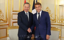 越共中央总书记、国家主席苏林同法国总统马克龙举行会谈