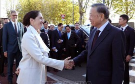 苏林访问法国原子能和替代能源委员会及法国泰雷兹集团技术研究中心