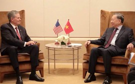 越共中央总书记、国家主席苏林会见美国参议员史蒂夫·戴恩斯
