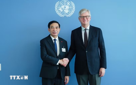 联合国支持越南提升参与维和行动的深度和广度