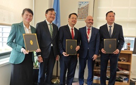 越南岘港国际金融中心加入联合国可持续金融中心网络