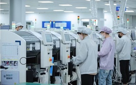 今年前9个月，广宁经济增速位居全国第一