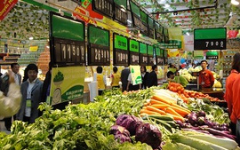 Giá lương thực thế giới giảm mạnh nhất 7 năm qua