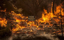 Ảnh cháy rừng nghiêm trọng tại Mỹ