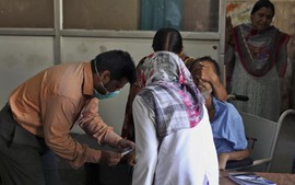 Brazil: Gần 700 người chết vì sốt xuất huyết