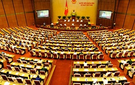 Quốc hội thảo luận Luật Kế toán (sửa đổi)