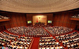 Quốc hội thông qua Bộ luật Hình sự (sửa đổi)