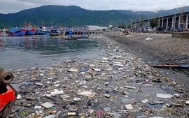 Đà Nẵng quyết liệt xử lý ô nhiễm ở âu thuyền Thọ Quang