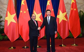 Thủ tướng Nguyễn Xuân Phúc hội kiến Tổng Bí thư, Chủ tịch nước Trung Quốc Tập Cận Bình
