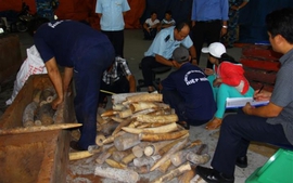 Phó Thủ tướng Thường trực khen Cục Hải quan TPHCM phá vụ buôn lậu ngà voi