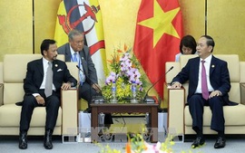 Chủ tịch nước gặp song phương Quốc vương Brunei 