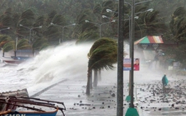Hỗ trợ công dân Việt Nam bị thiệt hại do bão Haiyan ở Philippines