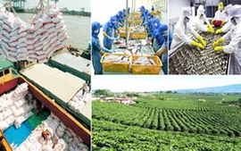 Nông nghiệp Việt Nam trước vận hội mới