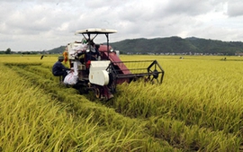 Cơ giới hóa để giảm tổn thất sau thu hoạch
