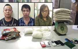 Hải Phòng bắt giữ 16 kg ma túy