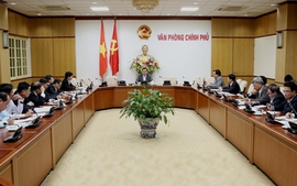 Xem xét cơ chế hỗ trợ tỉnh Ninh Thuận
