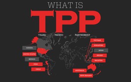 Nội dung cơ bản của Hiệp định TPP 