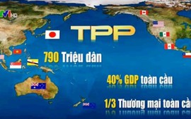 Với TPP: DN Việt cần sẵn sàng đón cơ hội hợp tác