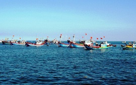 Ngăn chặn tình trạng đánh bắt hải sản sai tuyến