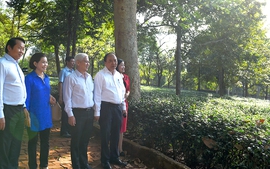 Thủ tướng thăm mô hình du lịch sinh thái tại Bình Phước