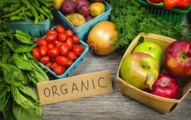 Chuẩn hóa nông nghiệp hữu cơ: Cần nhiều hơn một chính sách