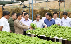 Phó Thủ tướng Vương Đình Huệ thăm hợp tác xã Lâm Đồng 