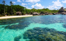 Tạm dừng cấp phép khai thác du lịch vùng lõi Khu bảo tồn biển Phú Quốc  