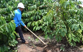 A Khuất làm kinh tế giỏi