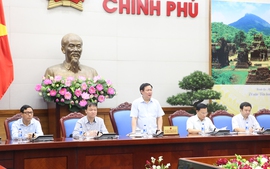 Phó Thủ tướng chủ trì họp Ban Chỉ đạo Điều hành giá
