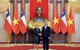 Chủ tịch nước Trần Đại Quang hội đàm với Tổng thống Chile Michelle Bachelet