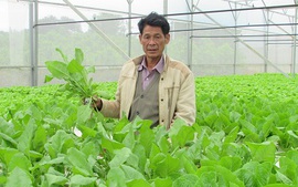 Đà Nẵng đầu tư nhiều nguồn lực cho nông nghiệp công nghệ cao
