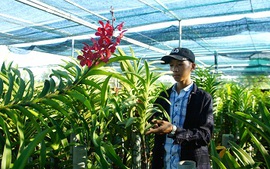 Tìm giải pháp cho nông nghiệp công nghệ cao vùng duyên hải Nam Trung Bộ