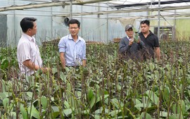 Thu hút đầu tư nông nghiệp công nghệ cao tại miền Trung-Tây Nguyên
