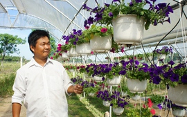 Mở cửa đón nhà đầu tư vào nông nghiệp 4.0 