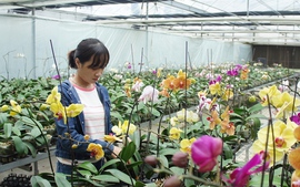 ‘Nút thắt’ nào cần gỡ để hút đầu tư vào nông nghiệp?