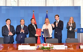 Thủ tướng chứng kiến ký thỏa thuận chống khai thác gỗ bất hợp pháp Việt Nam-EU