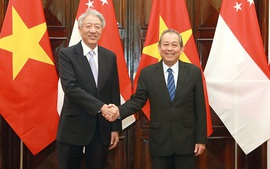 Phó Thủ tướng Trương Hòa Bình hội đàm Phó Thủ tướng Singapore Tiêu Chí Hiền