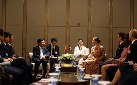 Phó Thủ tướng Phạm Bình Minh tiếp Công chúa kế vị Thụy Điển