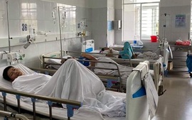 Đà Nẵng: Xử phạt 3 hộ kinh doanh khiến 230 người ngộ độc