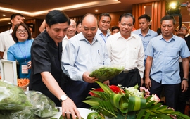 Chùm ảnh: Thủ tướng Nguyễn Xuân Phúc thăm gian hàng nông sản của đồng bào Tây Nguyên