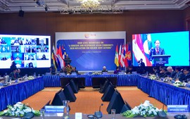 Trong thách thức, Việt Nam đã dẫn dắt ASEAN đi đúng hướng