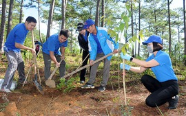 Lâm Đồng sẽ trồng 50 triệu cây xanh trong giai đoạn 2021-2025